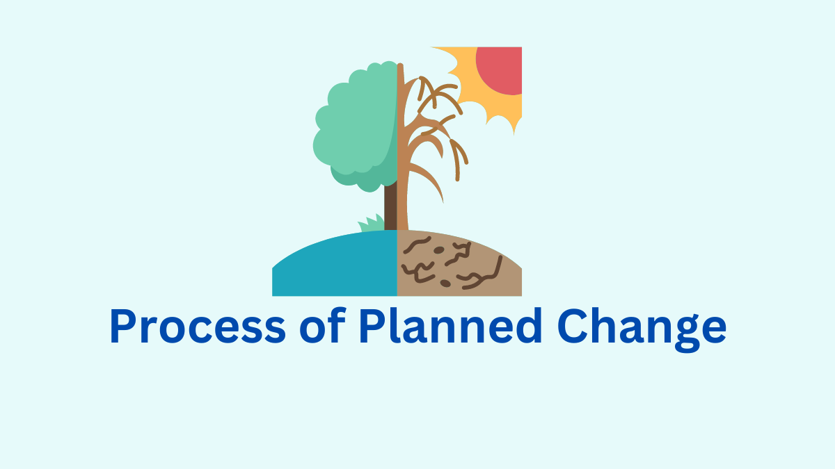 process of planned change