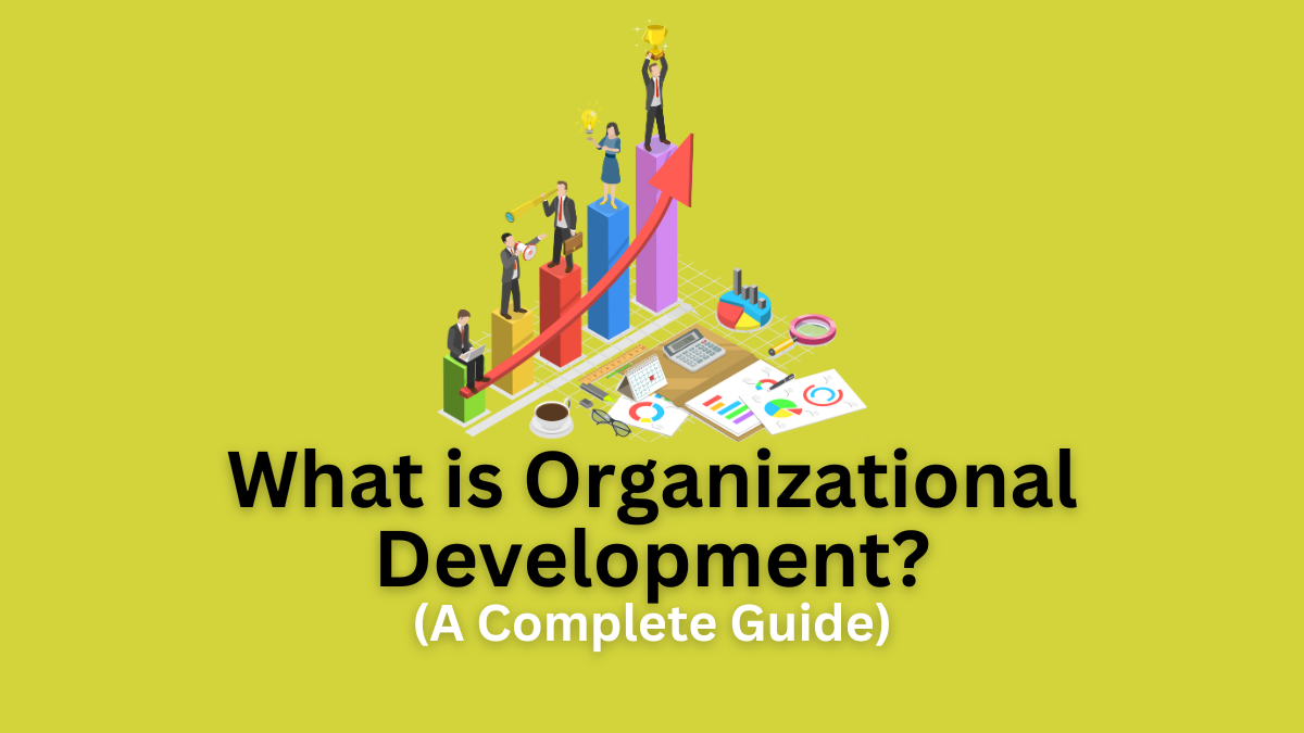organizational development